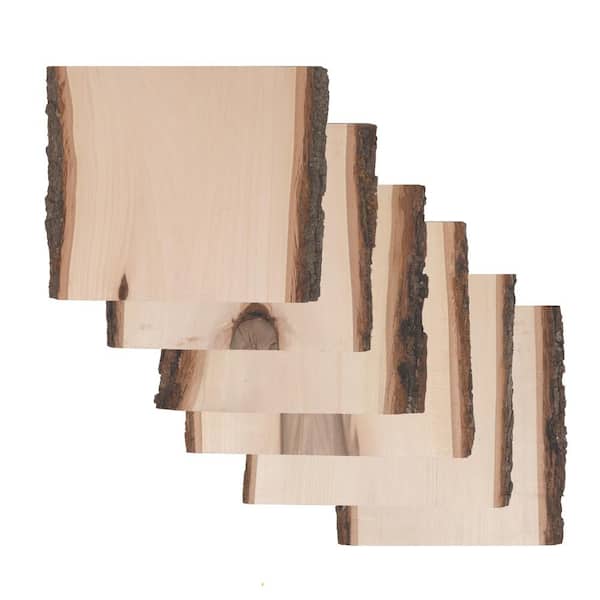 Walnut Hollow 1 in. x 8 in. x 1 ft. Rustic Basswood Plank Project Panel (6-Pack)