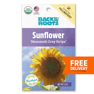 Organic Mammoth Grey Stripe Sunflower Seed (1-Pack)