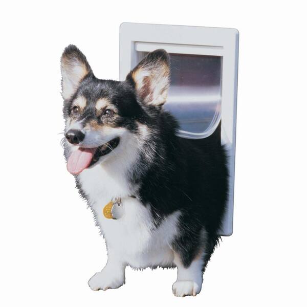 medium dog flap