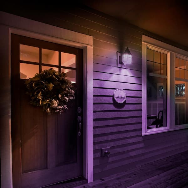 25-Watt Equivalent A19 Dimmable Filament Purple Colored Glass E26 Medium Base LED Light Bulb (6-Pack)