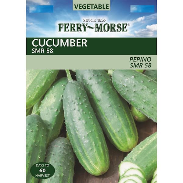 Ferry-Morse Cucumber SMR58 Seed
