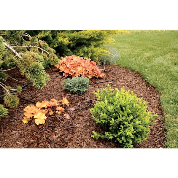 Rain Bird 0-13 GPH Full Circle Pattern Inline Micro Bubblers on