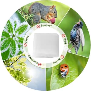 Outdoor White Insect Barrier Screen and Garden Netting Protect Plants Against Bugs Birds Squirrels 6.5 ft. x 25 ft.