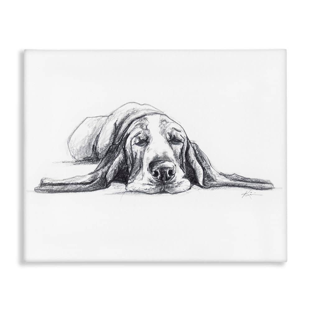 Bloodhound Pup Naptime by Lindsay Kivi Fine Art Unframed Animal Graphic Art Print 30 in. x 40 in. price history on PriceWatchPro