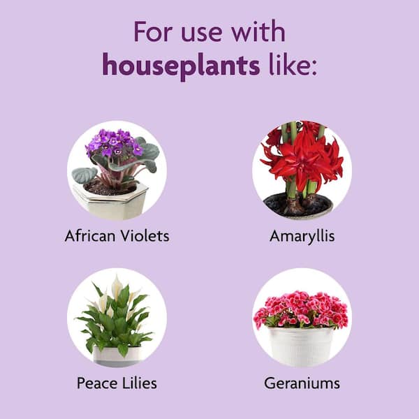 8 fl. oz. Blooming Indoor Plant Fertilizer