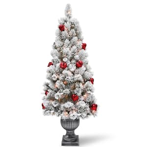 5 ft. Snowy Bristle Pine Entrance Tree with Clear Lights