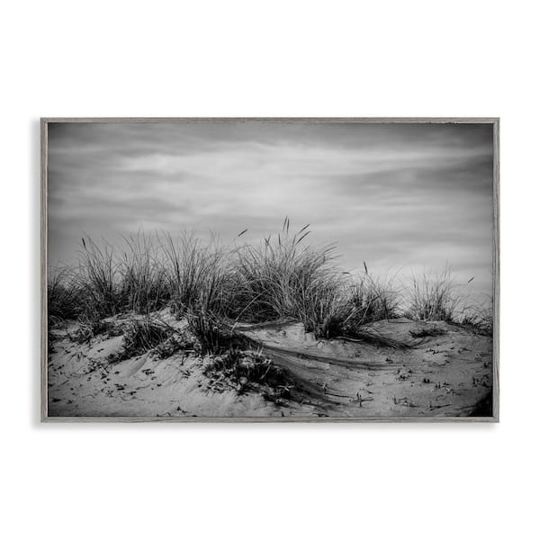 Point Reyes Beach Dunes by Crystal Lynn Collins Gray Framed Nature Giclee Art Print 12 in. x 18 in.