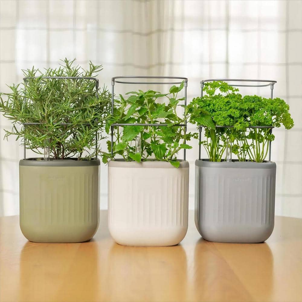 Cream White Self-Watering Mini Planter Pots with Trellis, 2 Pack