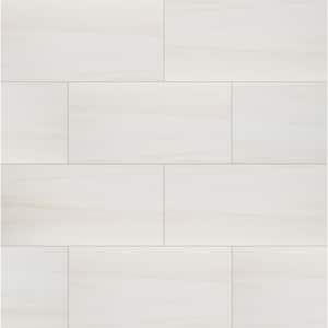 Ader Pamplona 12 in. x 24 in. Polished Porcelain Floor and Wall Tile (16 sq. ft. / case)