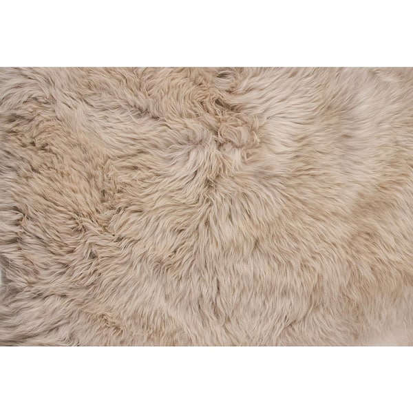 natural New Zealand Taupe x Double Sheepskin Area Rug