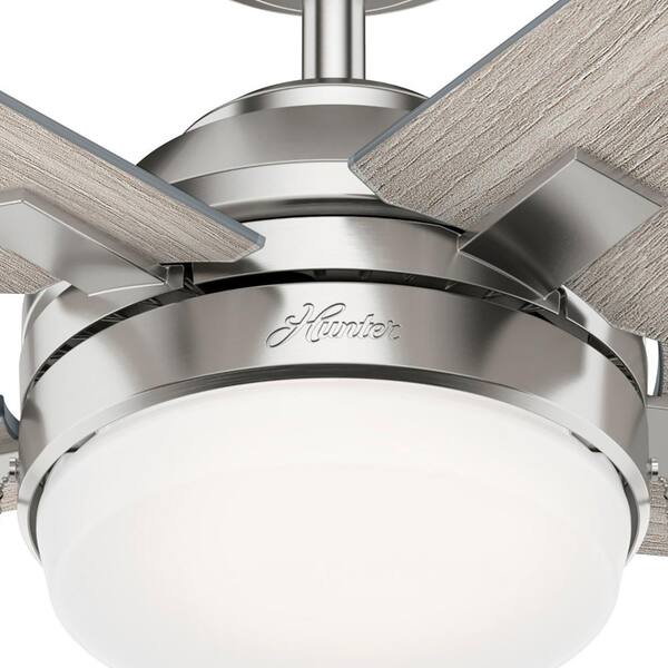 Hunter Ceiling Fan Humming Noise Shelly Lighting