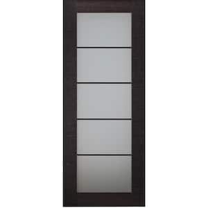 Avanti202 18 in.x84 in.No Bore Full Lite SolidCore Frosted Glass Black Apricot FinishedWood Composite Interior Door Slab