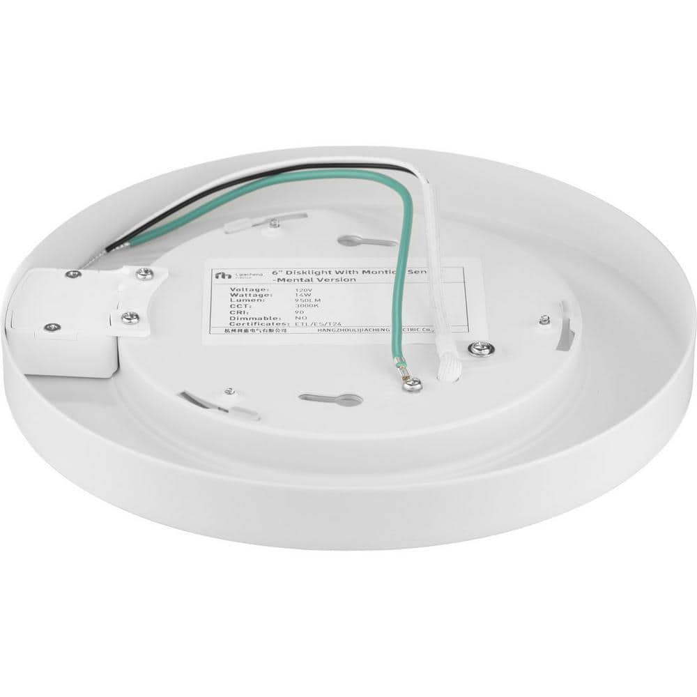 White LED Indoor/Outdoor Drum Flush Mount Light
