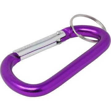 Large Metal Carabiner with Key Ring