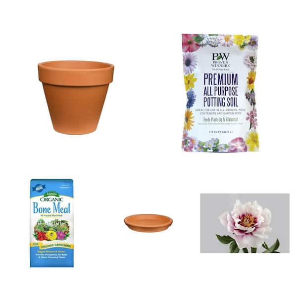 12 in. Terra Cotta Clay Pot and Saucer, 1.5 cu. ft. Potting Soil, 4 lbs. Bone Meal, and 3 Gal. Peony Combo