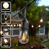 24-Light 48 ft. Indoor/Outdoor String Light with S14 Single Filament LED Bulbs