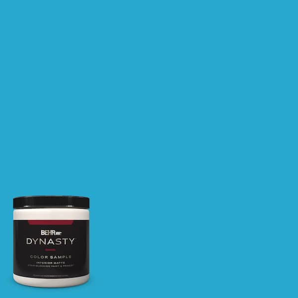 BEHR DYNASTY 8 oz. #T12-8 Reboot Matte Stain-Blocking Interior/Exterior Paint and Primer Sample