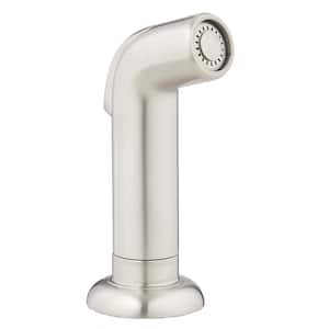 Kitchen Sink Side Spray with Guide in Stainless Steel Finish