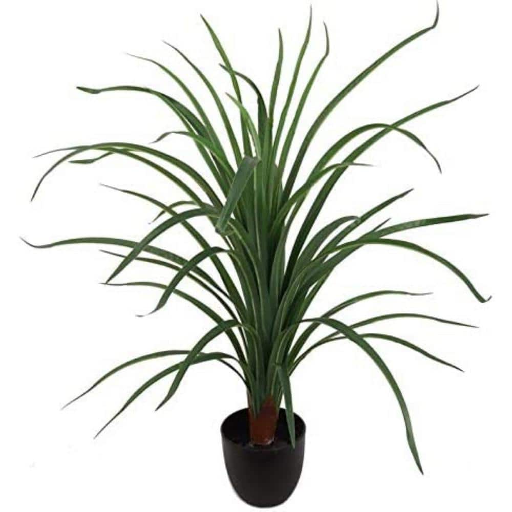 Larksilk 28" Artificial Dracaena Plant in Black Pot with 40 Silk Leaves AWF1626XX1PC The Home