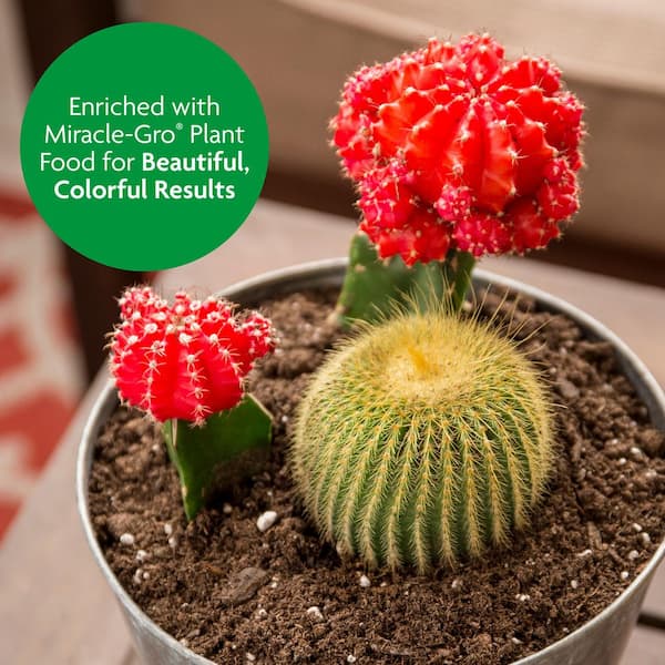 Miracle-Gro Cactus, Palm and Citrus Potting Mix Soil 8 qt. Great