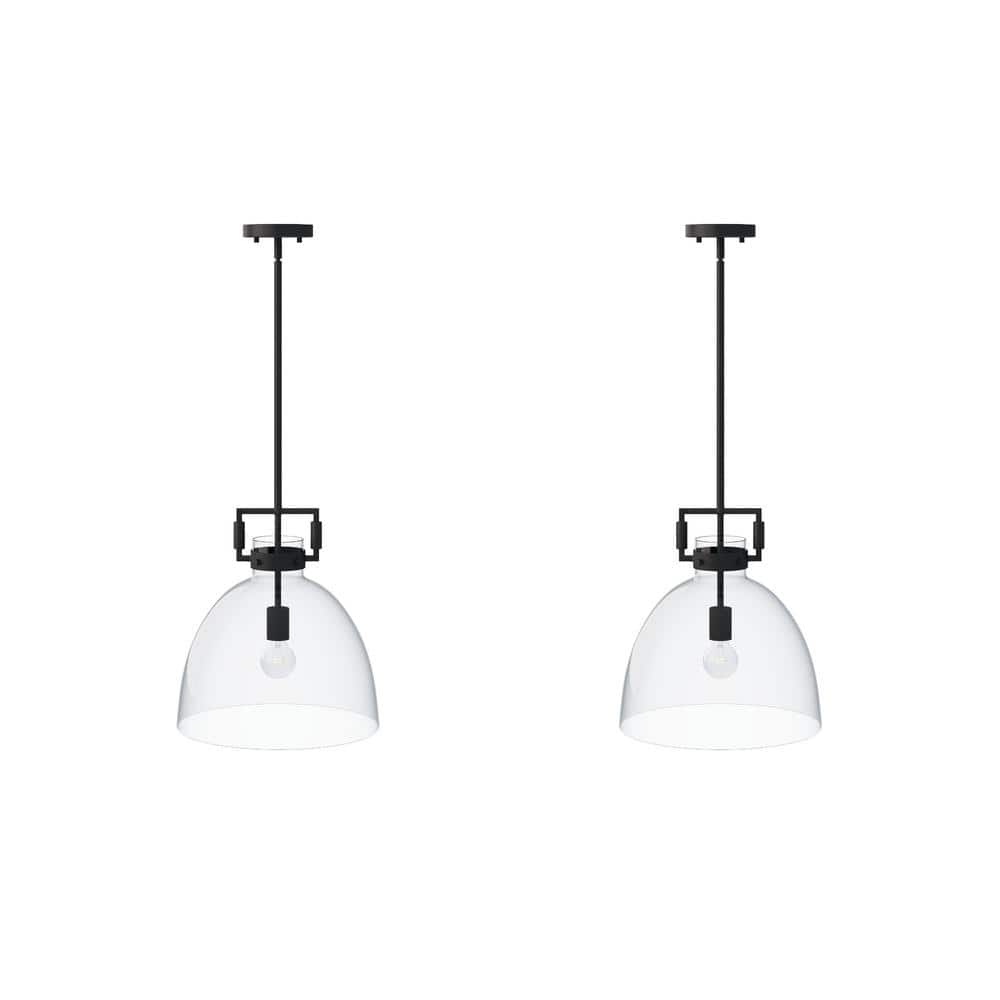 Matte Black Pendant Light with Clear Glass Shade
