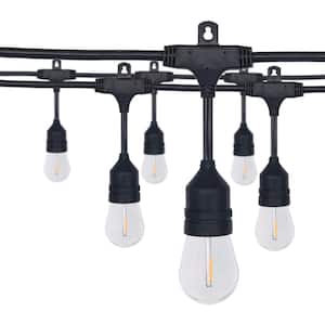 Outdoor/Indoor 24 ft. Plug-In A-Shape Bulb String Light Set