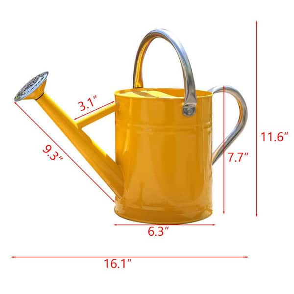 1 gal. Yellow Stainless Steel Watering Cans L0DZX66LJC - The Home