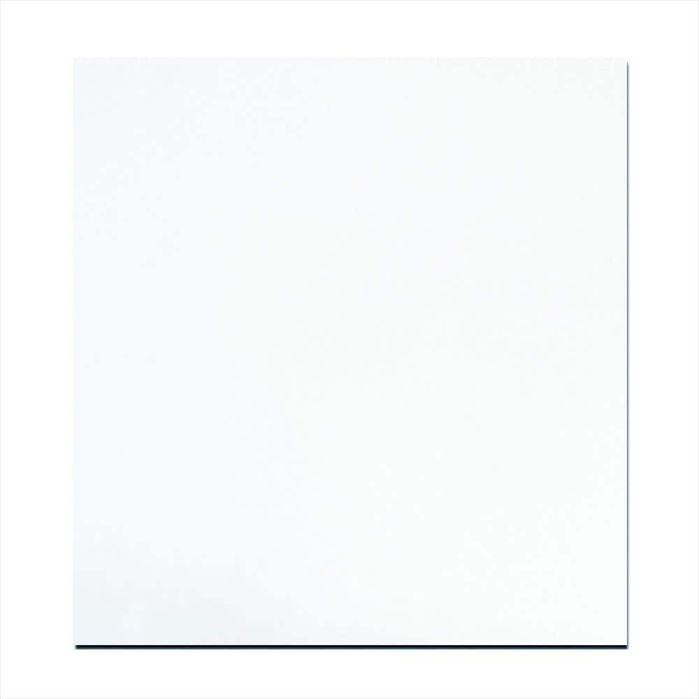 EUCATILE 18 in. x 48 in. x 96 in. Thrifty White Tile Board Panel 346-428 -  The Home Depot