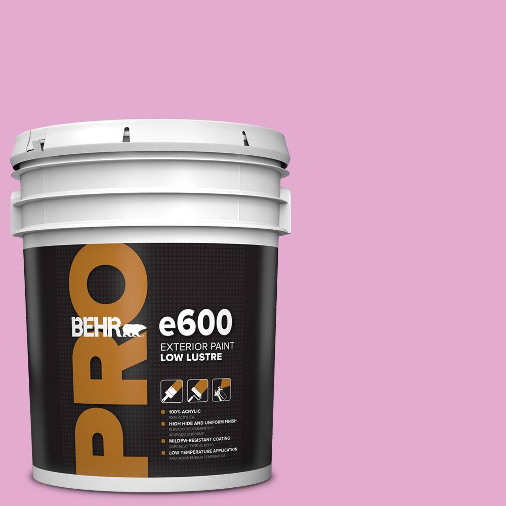 5 gal. #680A-3 Pink Bliss Low Luster Exterior Paint price history on PriceWatchPro
