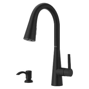 Barulli Single Handle Pull Down Sprayer Kitchen Faucet with Deckplate Included and Soap Dispenser in Matte Black