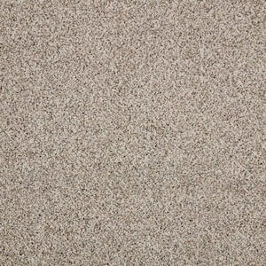 Maisie I  - Bermuda Sand - Beige 42 oz. Triexta Texture Installed Carpet