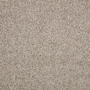 Maisie II  - Bermuda Sand - Beige 52 oz. Triexta Texture Installed Carpet