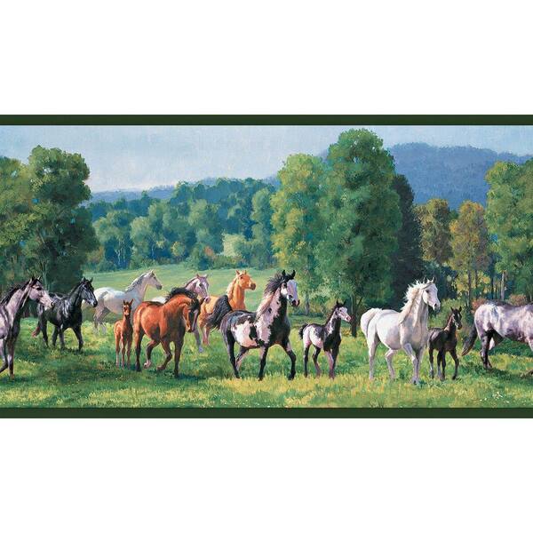 The Wallpaper Company 10.25 in. x 15 ft. Jewel Tone Wild Horses Border