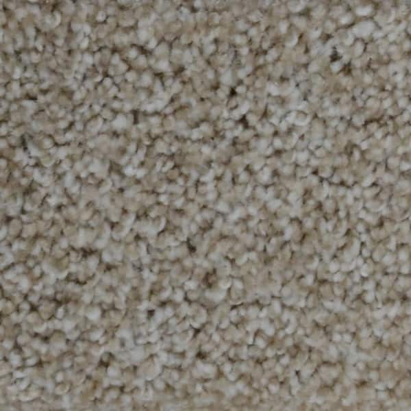 Home Decorators Collection Stargazer  - Cosmic - Beige 32 oz. SD Polyester Texture Installed Carpet