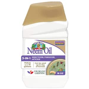 Captain Jack's Neem Oil, 16 oz Concentrate, Multi-Purpose Fungicide, Insecticide and Miticide