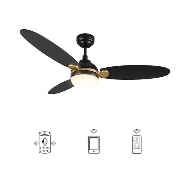 CARRO Raddix 52 in. Dimmable LED Indoor/Outdoor Black Smart Ceiling Fan with Light and Remote, Works with Alexa/Google Home