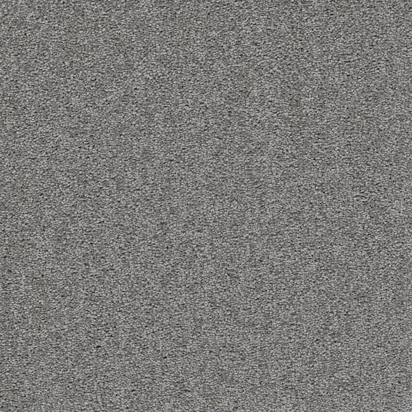 Home Decorators Collection Perfected I  - Precise - Gray 40 oz. SD Polyester Texture Installed Carpet