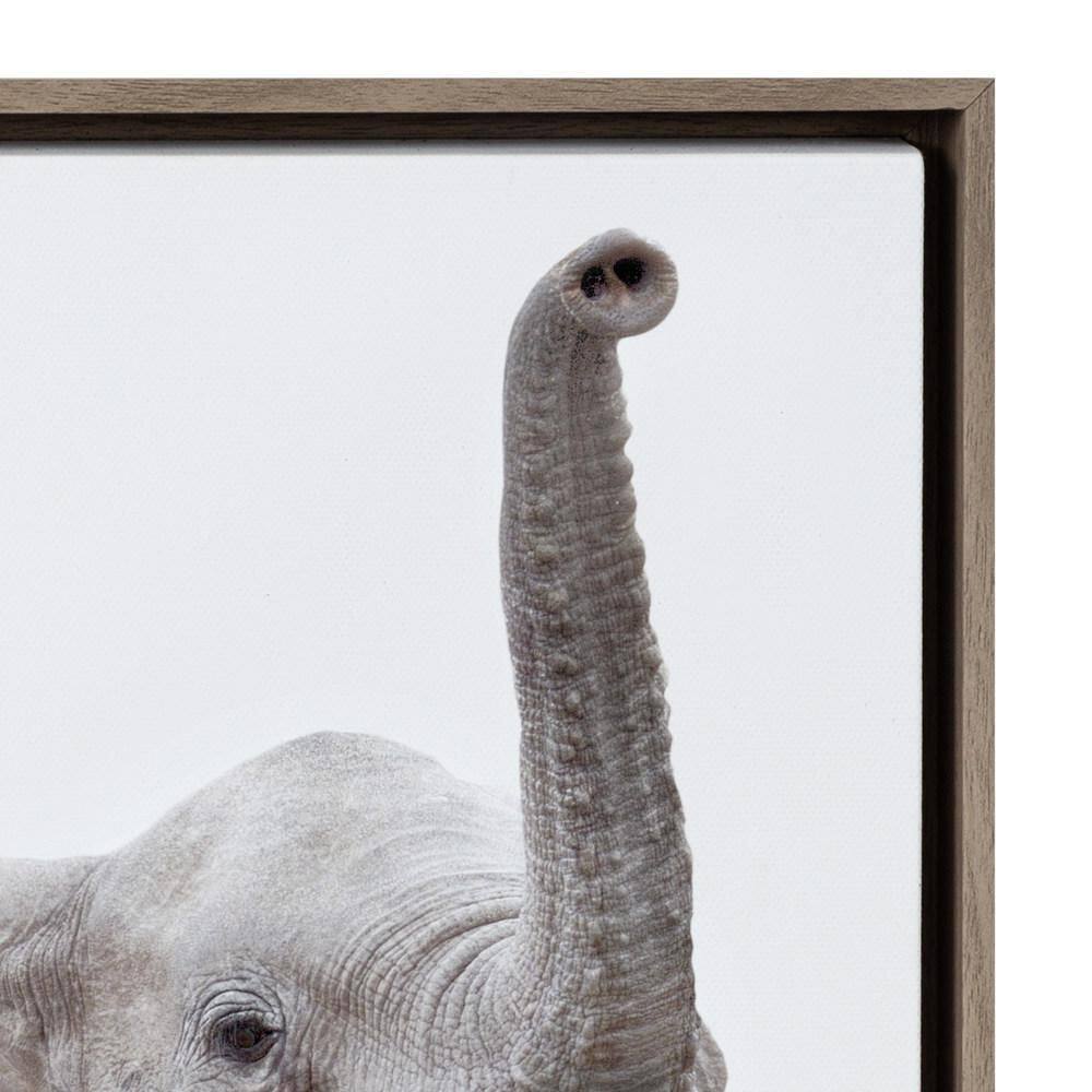 Safari Animal Collection Framed Canvas Wall Art Set of 6
