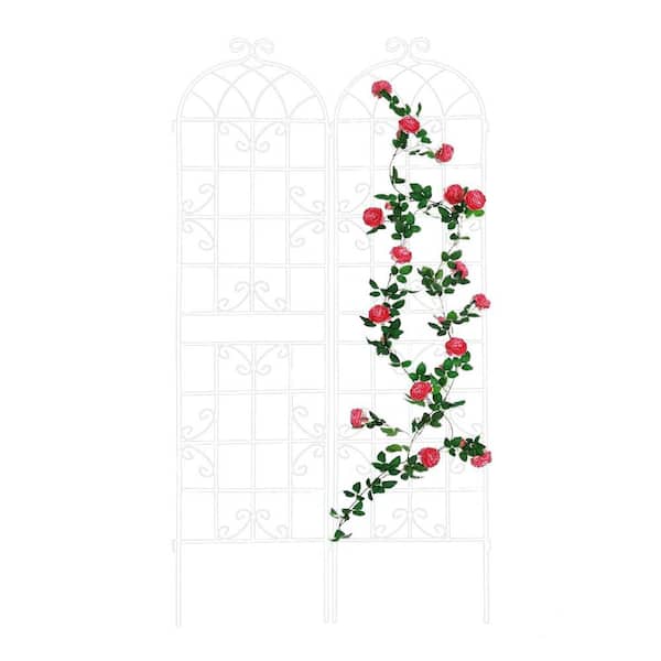 ATENGNES 71 in. x 19.7 in. Rustproof Metal Garden Trellis for Climbing Plants Outdoor Flower Support Cream White (2-Pack)