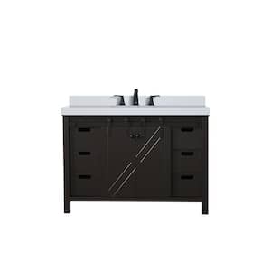Marsyas 48 in W x 22 in D Brown Bath Vanity, Cultured Marble Countertop and Faucet Set