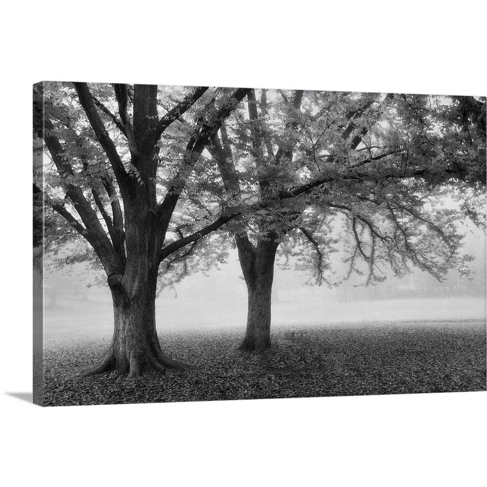 Greatbigcanvas Black And White Tree By Dianne Poinski Canvas Wall Art 2197777 24 30x20 The Home Depot