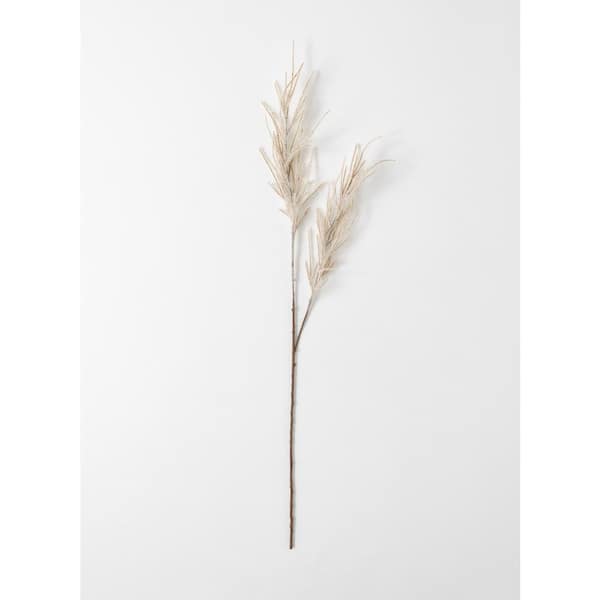 SULLIVANS 35" Artificial Light Brown Pampas Spray