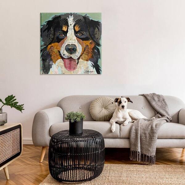 Stupell Industries Bernese Mountain Dog Collage by Traci Anderson