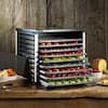 Deals List: LEM Mighty Bite 10-Tray Food Dehydrator w/Temperature Control