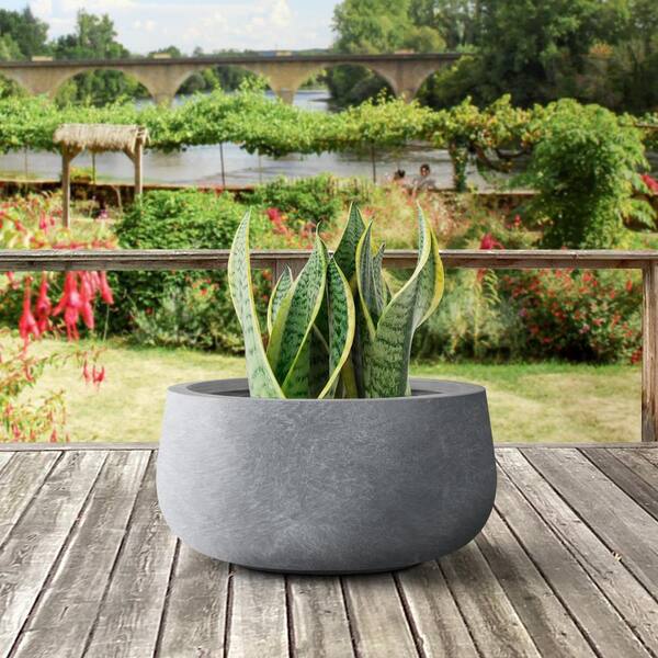 Shoe Concrete Planter Cement Pot Cast Stone Container for Plants Shoe  Planter -  Norway