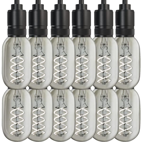 40-Watt Equivalent T14 Dimmable Spiral Filament Clear Glass E26 Vintage Edison LED Light Bulb, Daylight (12-Pack)