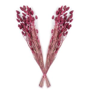 24 in. Pink Dried Natural Phalaris Fuchsia (2-Pack)