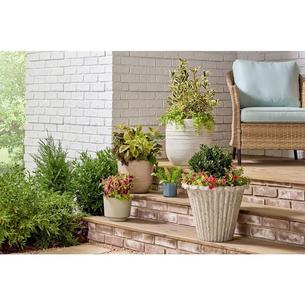 Vigoro Cora Small Blue Gray Indoor Glass Round Planter (3.94 in. L