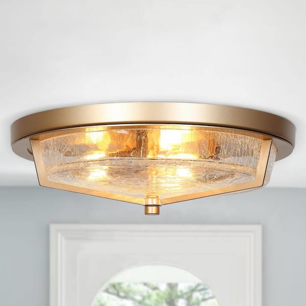 Transitional Round Ceiling Lights