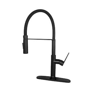 Single Handle Pull Down Sprayer Kitchen Faucet with Sprayer in Black